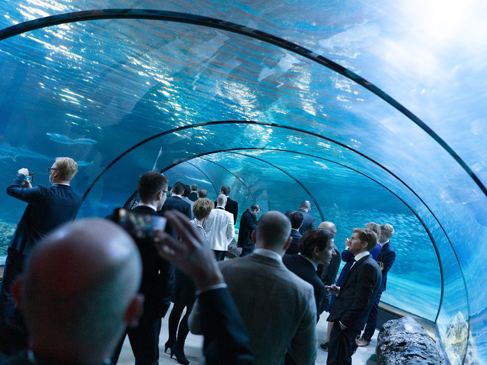 Rotterdam | Award Night in an exclusive aquarium