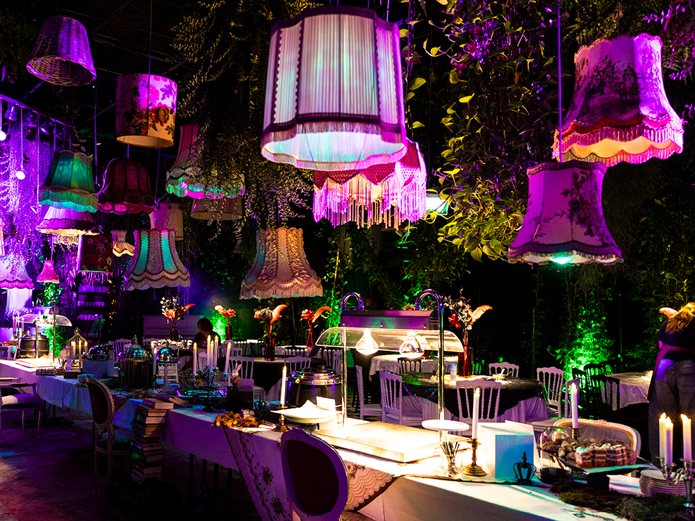 party6